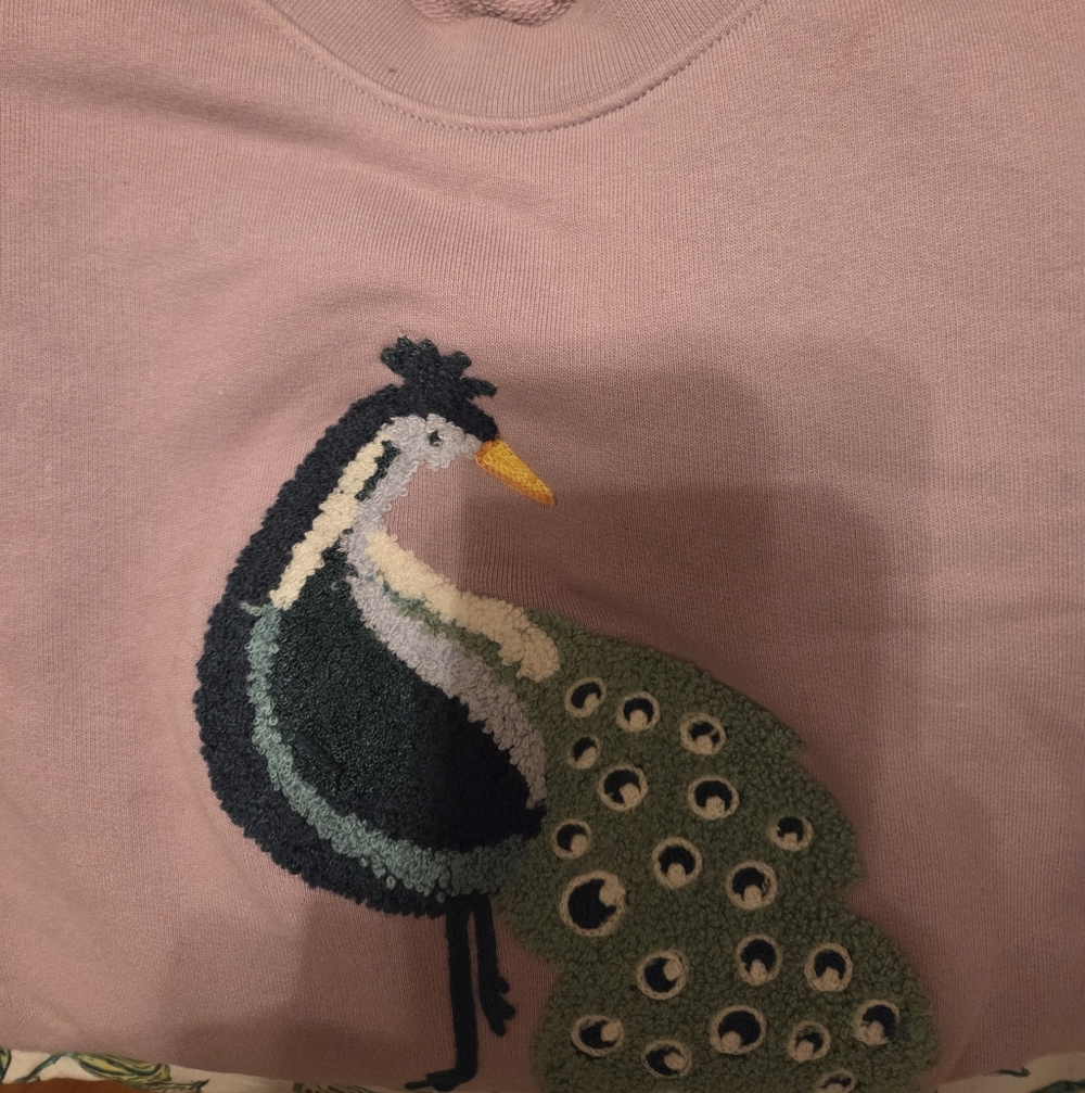 Bonobos Limited Edition Critter Peacock Terry Clorh Sweater